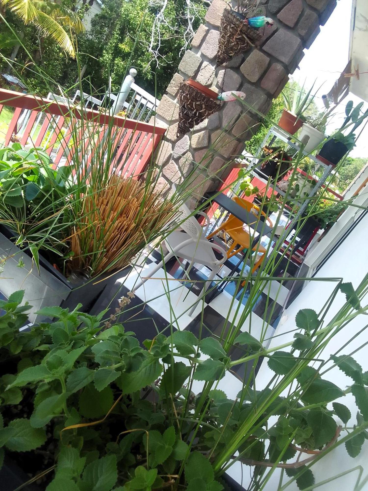 Chambre Avec Cuisine Et Sdb Semi-Privatives Separees Dans Un Ecrin De Verdure Les Abymes Bagian luar foto